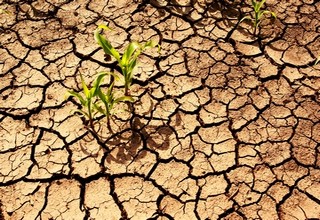 FINACTU s'affirme comme le leader dans le conseil en assurances climatiques