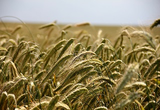 FINACTU remporte l’appel d’offres lance par la BOAD pour le développement de l’assurance agricole en zone UEMOA