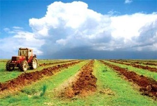 Maroc : FINACTU à nouveau sélectionné pour œuvrer au développement de l’assurance agricole