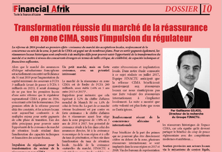 Chronique de FINACTU pour Financial Afrik :
